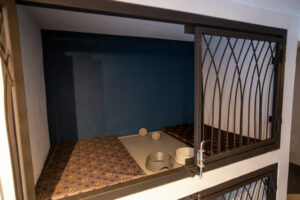 Hotel pre psov